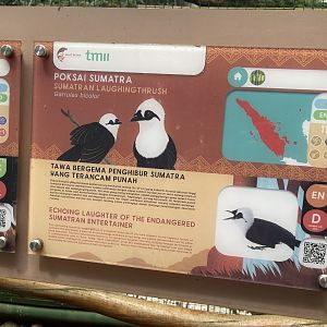 greater sunda - sumatran laughingthrush signage - taman burung