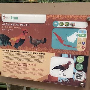 greater sunda - red junglefowl signage - taman burung