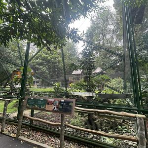 greater sunda - aviary no. 7 - taman burung