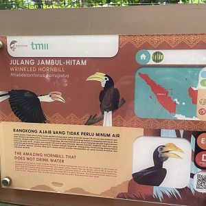 greater sunda - wrinkled hornbill signage - taman burung