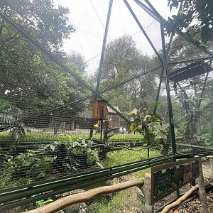 greater sunda - aviary no. 8 - taman burung