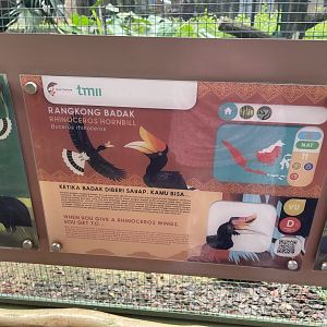 greater sunda - rhinoceros hornbill signage - taman burung