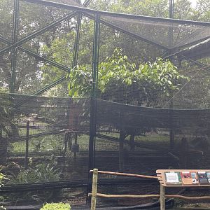 greater sunda - aviary no. 9 (under repair) - taman burung