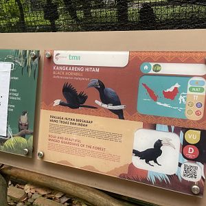 greater sunda - black hornbill signage - taman burung