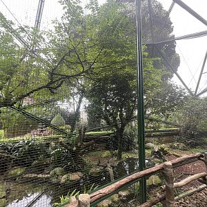 greater sunda - aviary no. 10 - taman burung