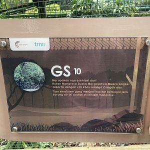 greater sunda - aviary no. 10 - taman burung