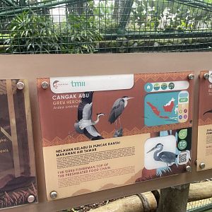 greater sunda - grey heron signage - taman burung