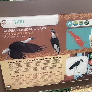 greater sunda - asian woollyneck stork signage - taman burung