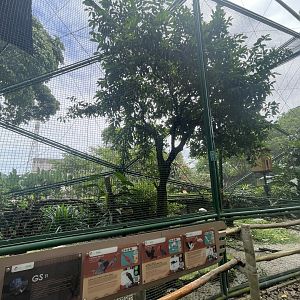greater sunda - aviary no. 11 - taman burung