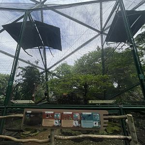 greater sunda - aviary no. 13 - taman burung