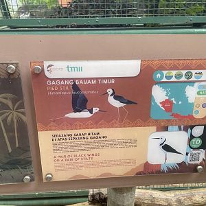 greater sunda - pied stilt signage - taman burung