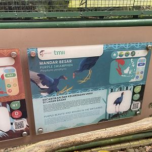greater sunda - western swamphen signage - taman burung