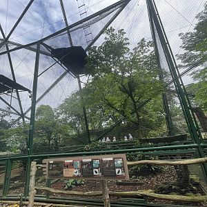 greater sunda - aviary no. 14 - taman burung