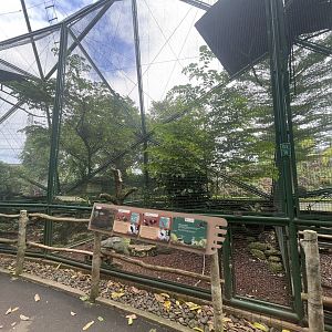 greater sunda - aviary no. 15 - taman burung