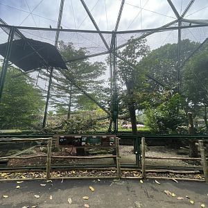 greater sunda - aviary no. 16 - taman burung