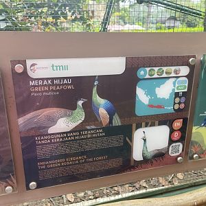 greater sunda - green peafowl signage - taman burung