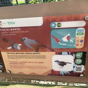 greater sunda - sunda laughingthrush signage - taman burung