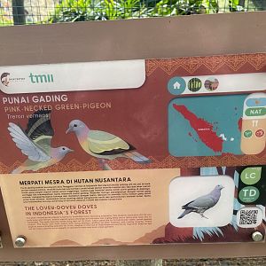 greater sunda - pink-necked green pigeon signage - taman burung