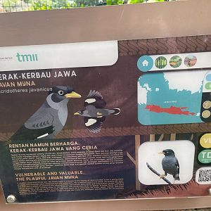 greater sunda - javan myna signage - taman burung