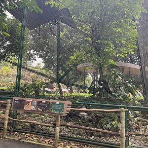 greater sunda - aviary no. 18 - taman burung