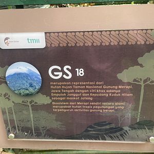 greater sunda - aviary no. 18 - taman burung