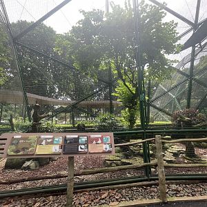 greater sunda - aviary no. 19 - taman burung