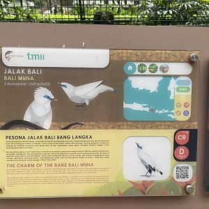 greater sunda - bali myna signage - taman burung