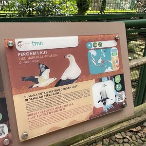 greater sunda - pied imperial pigeon signage - taman burung