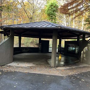New Roof over Swamp Pavilion