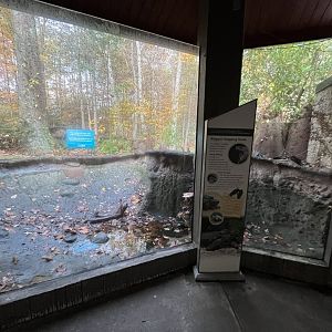 Drained Alligator Snapping Turtle Habitat