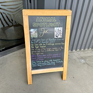 Animal of the Week (Joe)