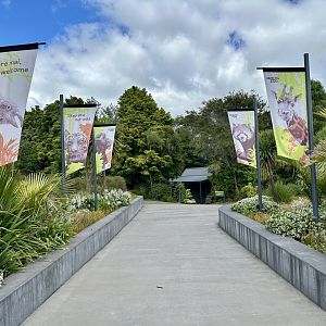 Hamilton Zoo - Entry Precinct (Main Drive)