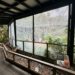 Australian Aviary (Under Rennovation)