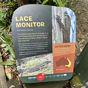 Lace Monitor Signage