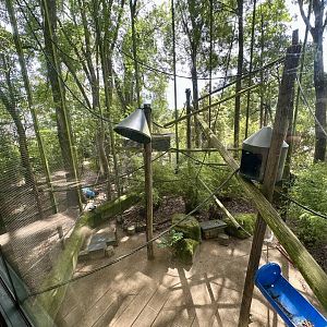 Brown Capuchin Exhibit 3