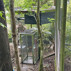 Brown Capuchin Separation Cage