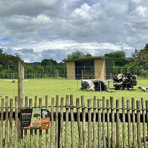 New Giraffe House (Under Construction)