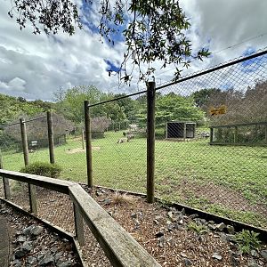 Lowland Nyala Exhibit