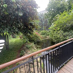 cassowary exhibit - taman burung
