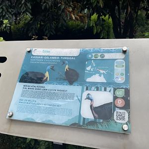 northern cassowary signage (1) - taman burung