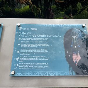 northern cassowary signage (2) - taman burung