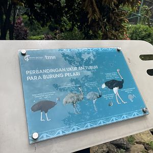 flightless birds comparison signage - taman burung