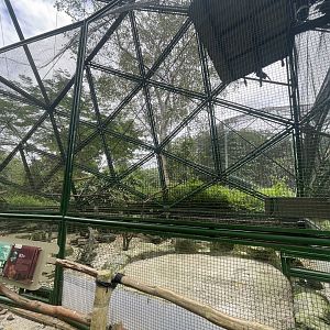 wallacea & sahul - aviary no. 1 - taman burung