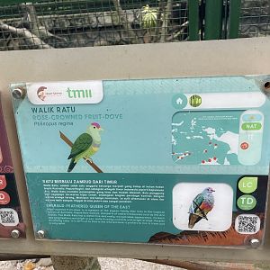 wallacea & sahul - rose-crowned fruit dove signage - taman burung