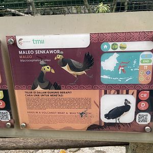 wallacea & sahul - maleo signage - taman burung