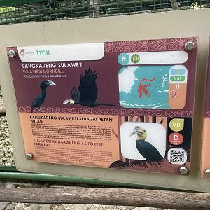 wallacea & sahul - sulawesi hornbill signage - taman burung