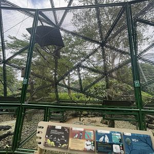wallacea & sahul - aviary no. 2 - taman burung