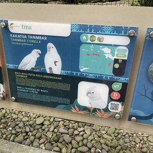 wallacea & sahul - tanimbar corella signage - taman burung