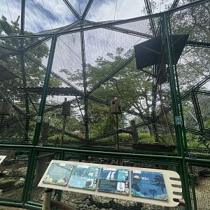 wallacea & sahul - aviary no. 3 - taman burung