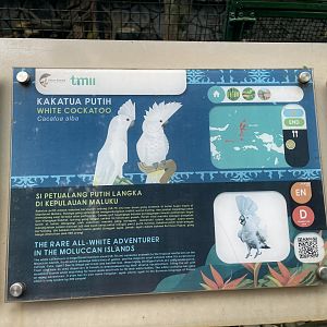 wallacea & sahul - white cockatoo signage - taman burung